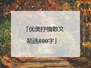 优美抒情散文精选800字