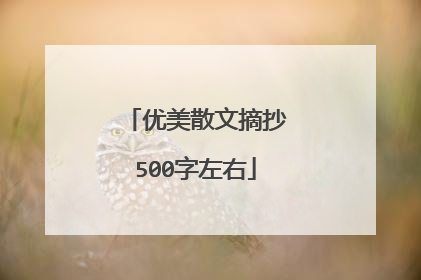 优美散文摘抄500字左右