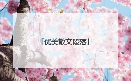 优美散文段落