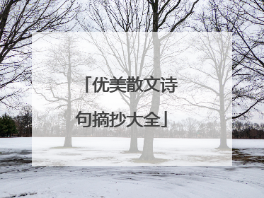 优美散文诗句摘抄大全