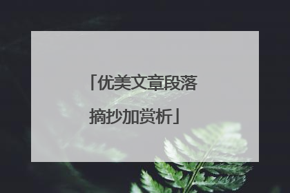 优美文章段落摘抄加赏析