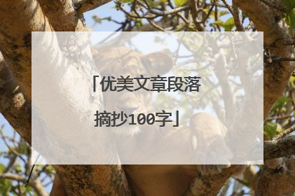 优美文章段落摘抄100字