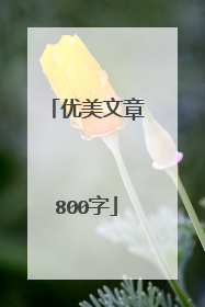 优美文章800字