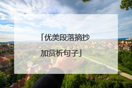 优美段落摘抄加赏析句子