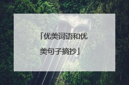 优美词语和优美句子摘抄