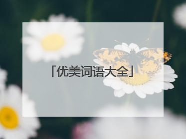优美词语大全