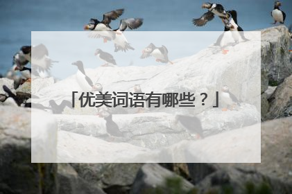 优美词语有哪些?