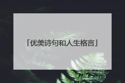 优美诗句和人生格言