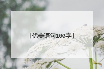 优美语句100字