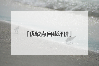 优缺点自我评价