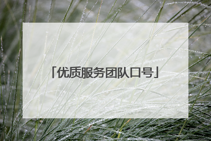 优质服务团队口号