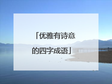 优雅有诗意的四字成语
