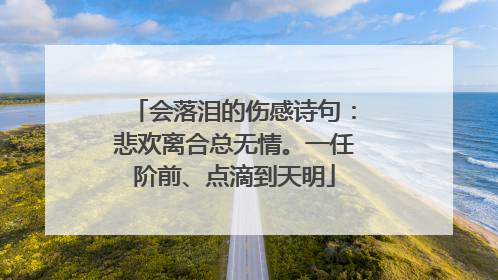 会落泪的伤感诗句:悲欢离合总无情。一任阶前、点滴到天明