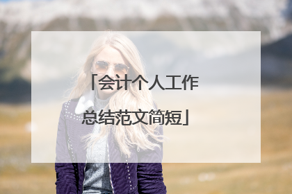 会计个人工作总结范文简短