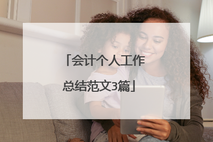 会计个人工作总结范文3篇