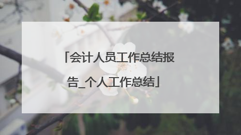 会计人员工作总结报告_个人工作总结