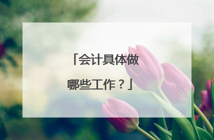 会计具体做哪些工作？