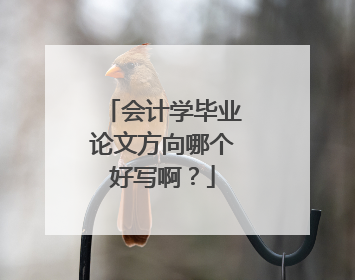 会计学毕业论文方向哪个好写啊？