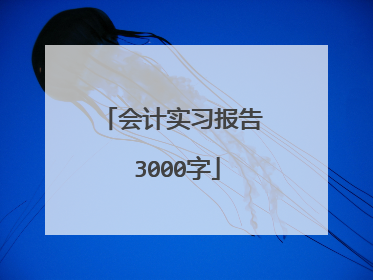会计实习报告 3000字