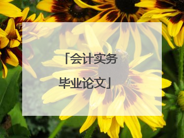 会计实务毕业论文
