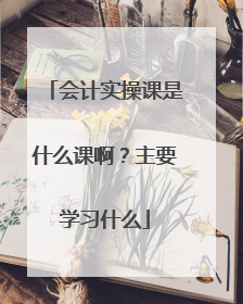 会计实操课是什么课啊?主要学习什么