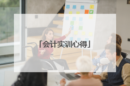 会计实训心得