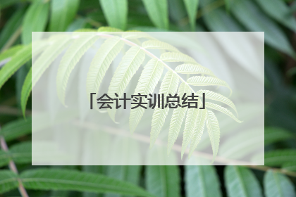 会计实训总结