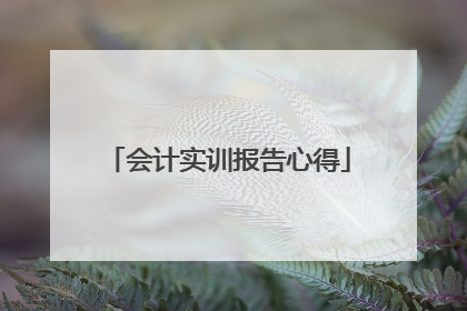 会计实训报告心得