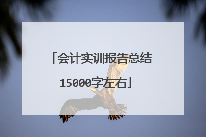 会计实训报告总结15000字左右