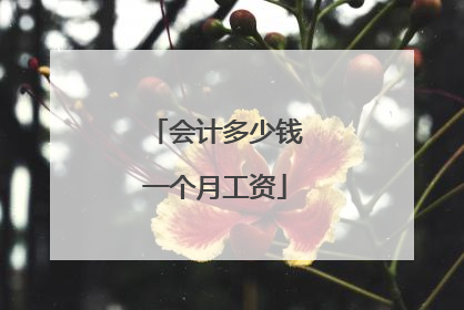 会计多少钱一个月工资