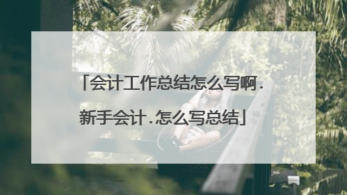 会计工作总结怎么写啊.新手会计.怎么写总结