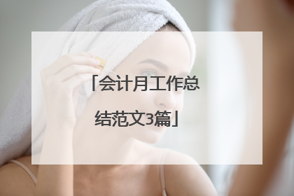 会计月工作总结范文3篇