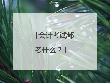 会计考试都考什么？