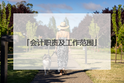 会计职责及工作范围