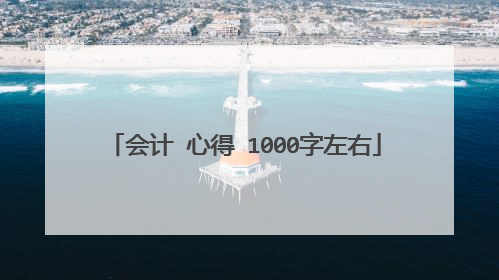 会计 心得 1000字左右