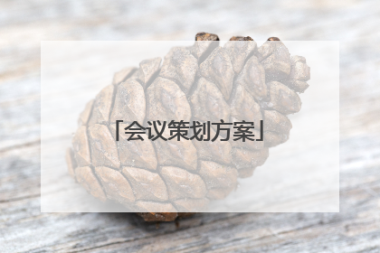 会议策划方案