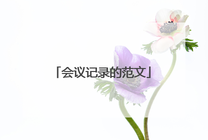 会议记录的范文