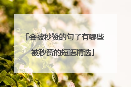 会被秒赞的句子有哪些 被秒赞的短语精选