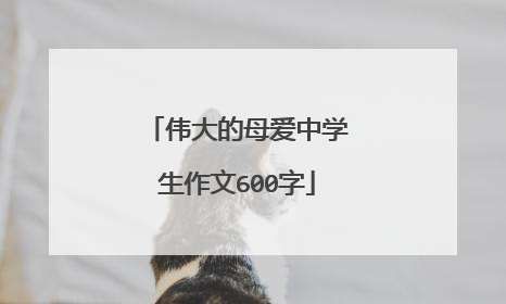 伟大的母爱中学生作文600字