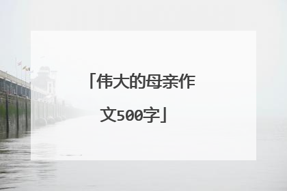 伟大的母亲作文500字