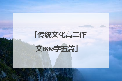 传统文化高二作文800字五篇