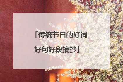 传统节日的好词好句好段摘抄