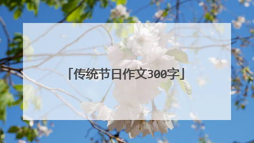传统节日作文300字