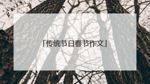 传统节日春节作文