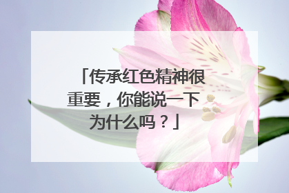 传承红色精神很重要，你能说一下为什么吗？