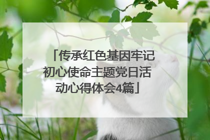 传承红色基因牢记初心使命主题党日活动心得体会4篇