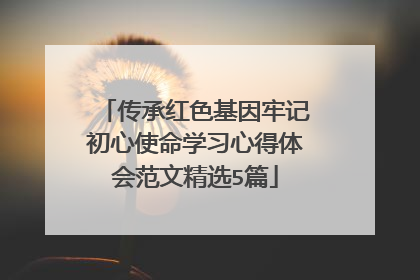 传承红色基因牢记初心使命学习心得体会范文精选5篇