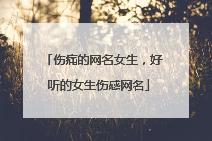 伤痛的网名女生，好听的女生伤感网名