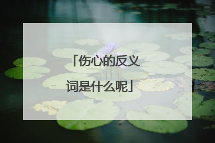 伤心的反义词是什么呢