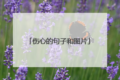 伤心的句子和图片